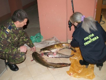 Braconaj în zona Midia: poliţiştii au confiscat şalău